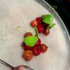 picky_foody