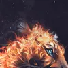 qu.kh38