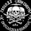 crusader_1230