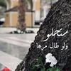 shso_st0