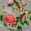 thant.zaw7423