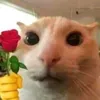 qkxtbt