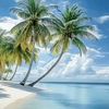 faisal.zaher1