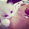 alwysss_kiii