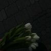 _fatyaa09