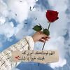 mehtab_niazi01