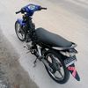 tomi.trinata