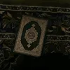 habib_05