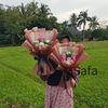 safa.bucket