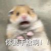 maott__127