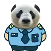 Chấn Sinh lão sư 🪷🪷