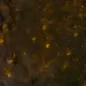 egysrac08