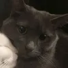 kxm_dxmp