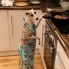 notsopetitlettucemuncher