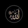 jatt__saab009