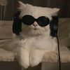 shazrul_neirsham7
