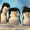 kidparzival