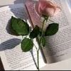 user81019058383845
