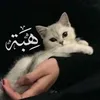 br_ho_16