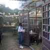 ihyn_flew