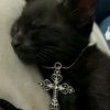 kitty.son.y
