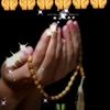 .abshir430