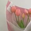 lilyalice_15