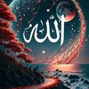 user5228061741228