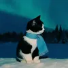 floefluffi