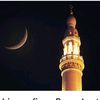shaiba883