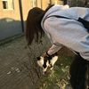 .riva_lys93