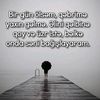 bedbextinsan13