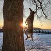 whiskey_outdoors