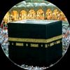 user61636805504972