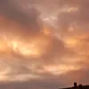 b_srncova