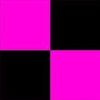p_litzer