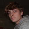 wsvogel