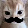 chanhxingiu_06