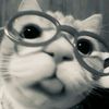 edgarly86
