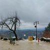 user22137161209917
