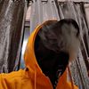 malik127zx