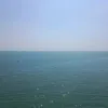 clarakoala12