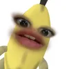 sbrllevnce_sltro