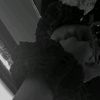 arrisha273