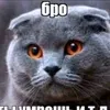 fan_midix
