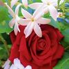 nour79840
