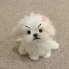 kwwanghya_