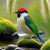 fida.hussaien.fid