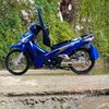 user501151717517