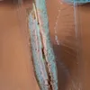 _goldor_0